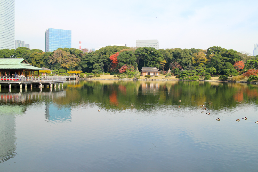 f:id:n0309:20161204120132j:image:w600