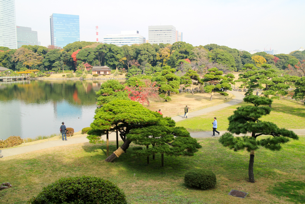 f:id:n0309:20161204120432j:image:w600