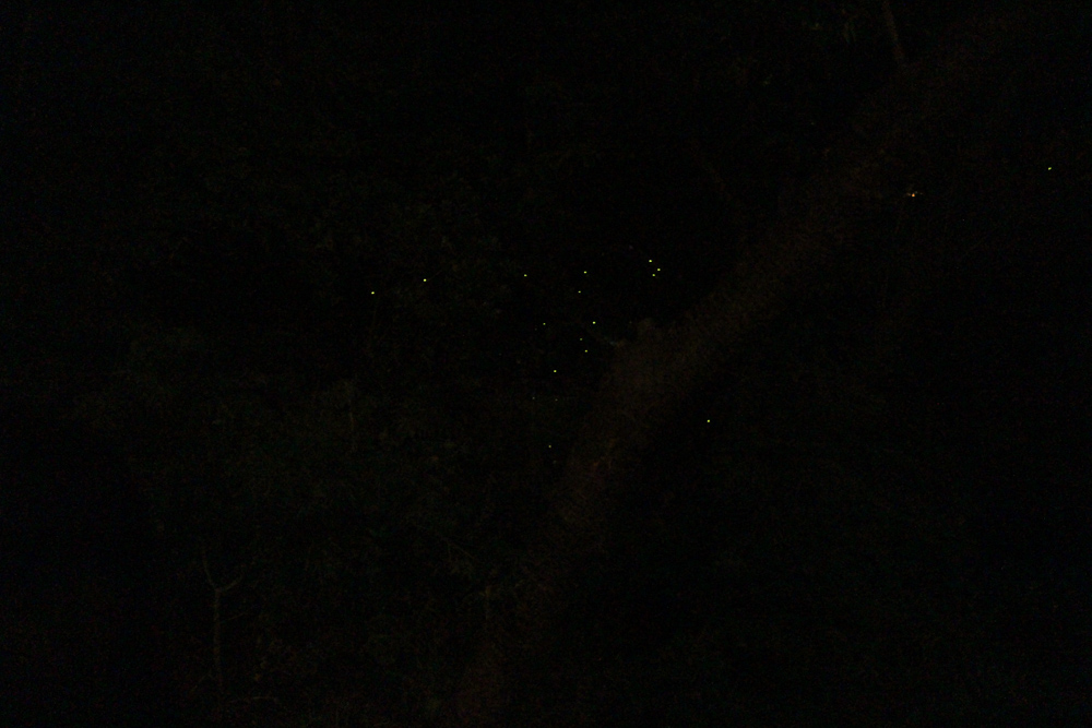 f:id:n0309:20170622221444j:image:w600
