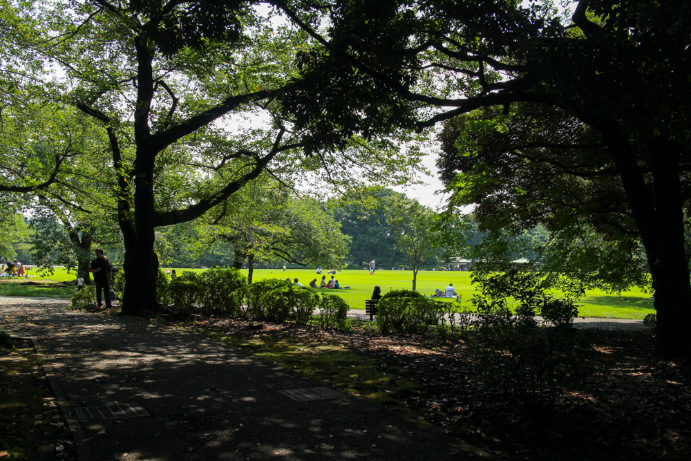 f:id:n0309:20170909125917j:image:w600 f:id:n0309:20170909125917j:image:w600