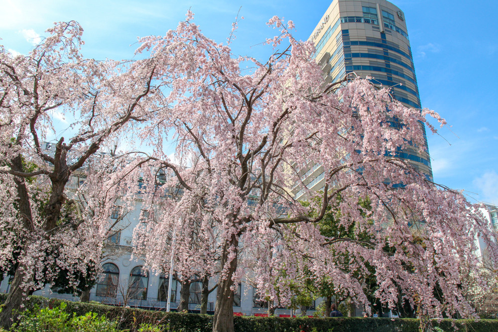 f:id:n0309:20180324113231j:image:w600