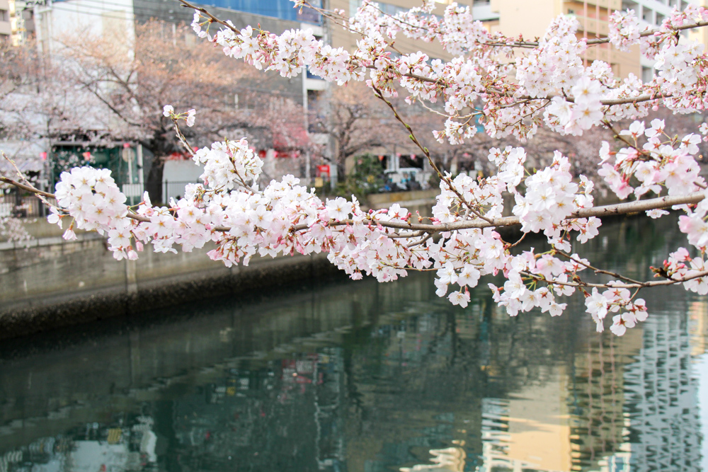 f:id:n0309:20180324172333j:image:w600