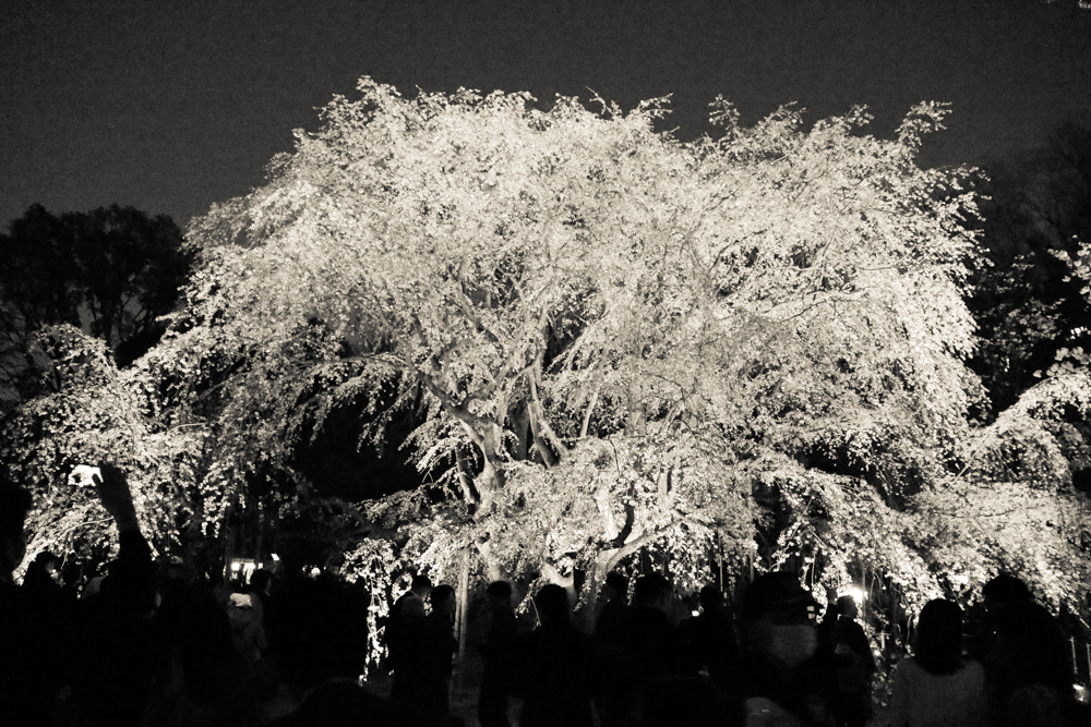 f:id:n0309:20180329203644j:image:w600