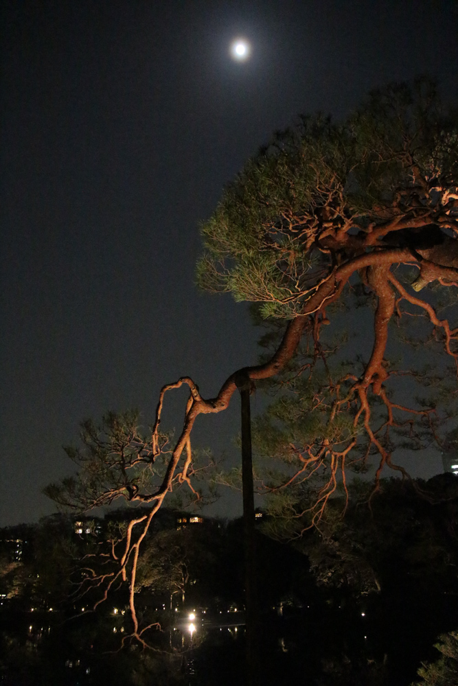 f:id:n0309:20180329205204j:image:h600