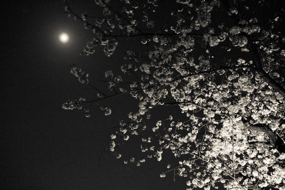 f:id:n0309:20180329205805j:image:w600