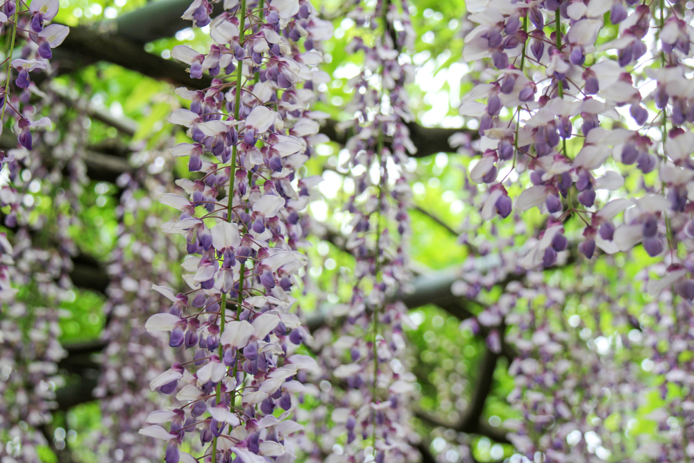 f:id:n0309:20180502123732j:image:w600