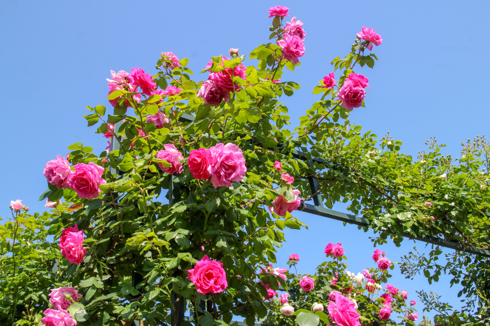 f:id:n0309:20180505145707j:image:w600