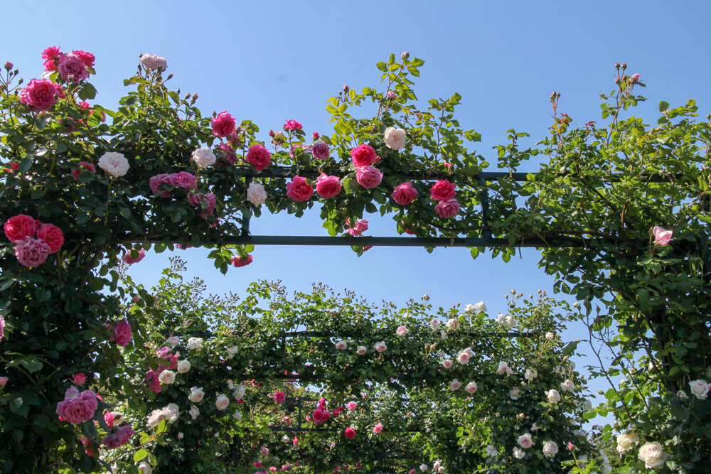 f:id:n0309:20180505150018j:image:w600