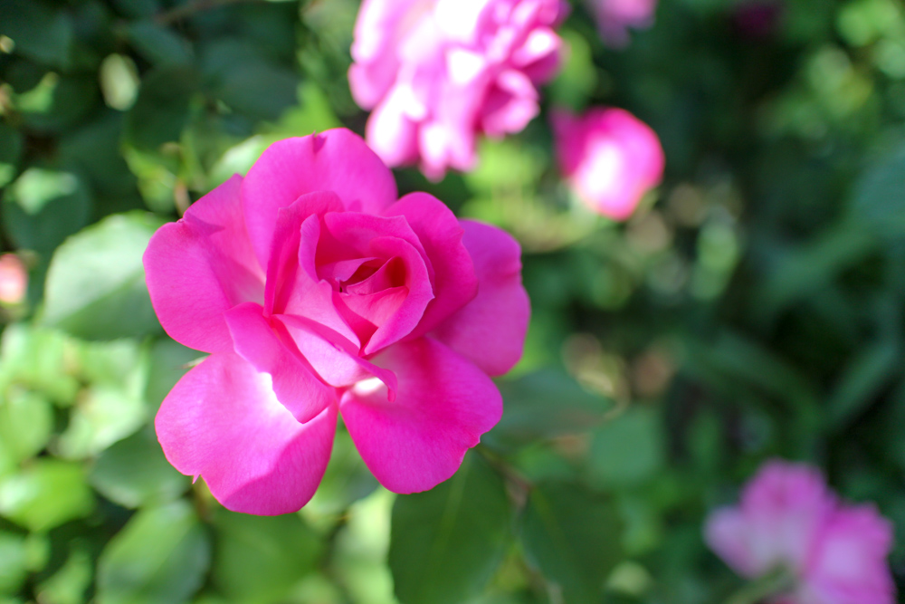 f:id:n0309:20180505150741j:image:w600