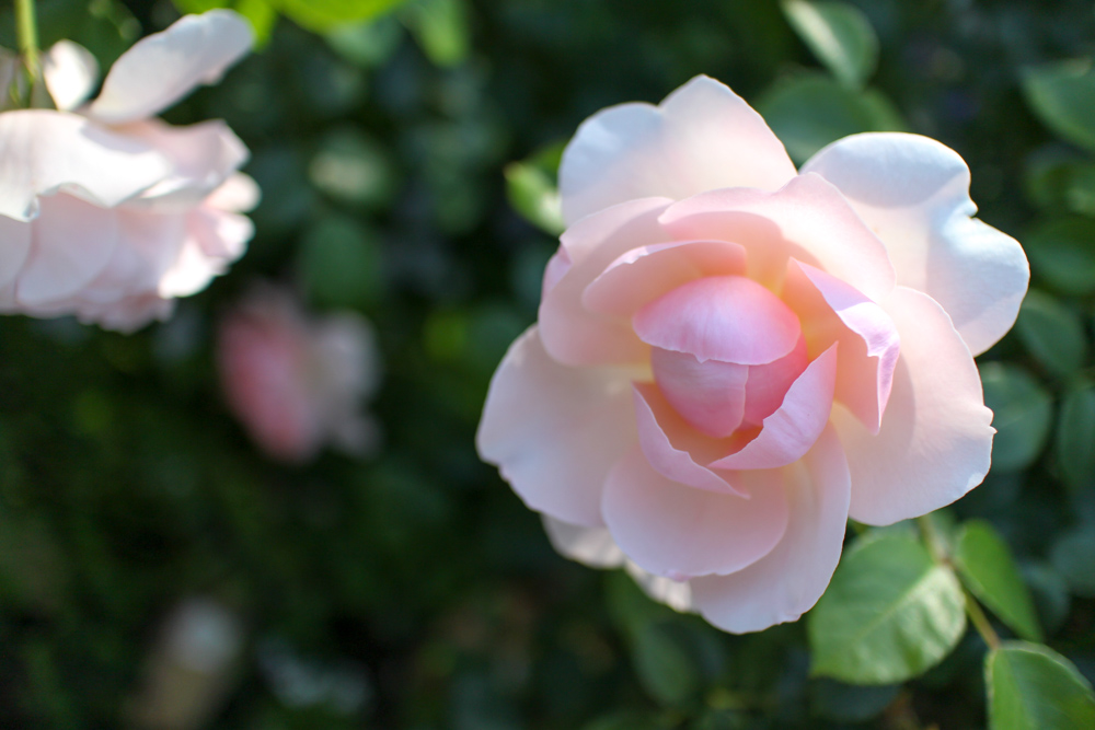 f:id:n0309:20180505153552j:image:w600