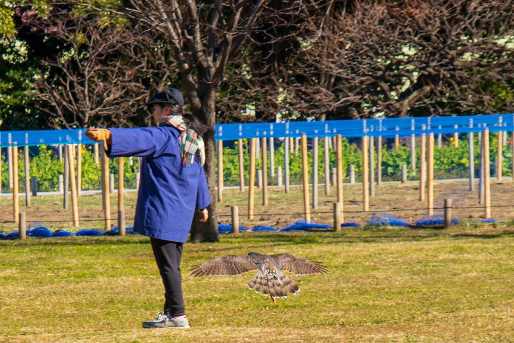 f:id:n0309:20190102112619j:image:w600
