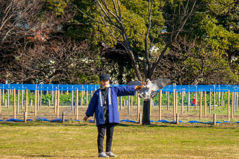 f:id:n0309:20190102112908j:image:w600