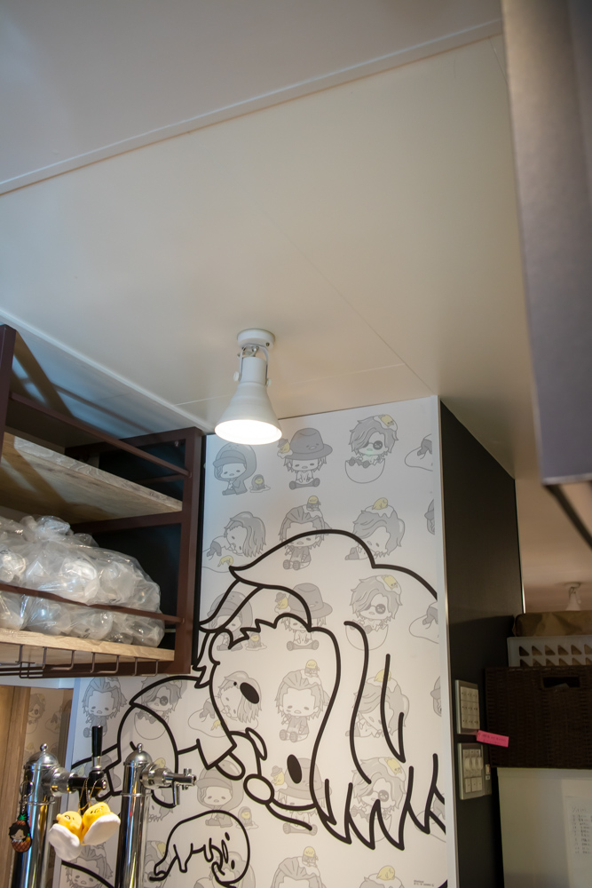 f:id:n0309:20190119102403j:image:h600