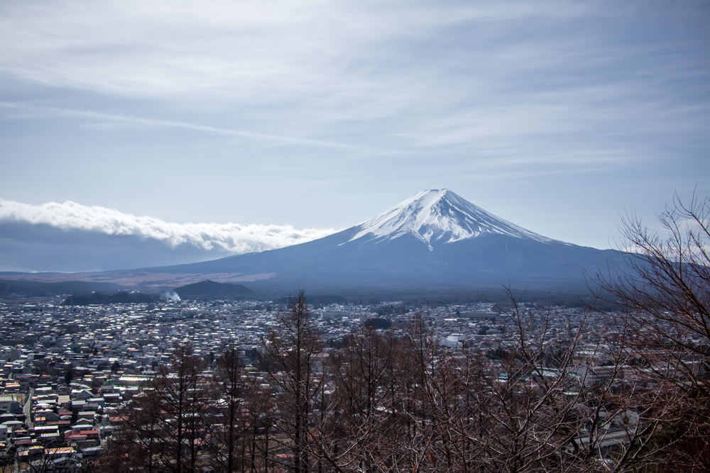 f:id:n0309:20190210112946j:image:w600