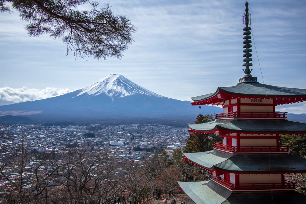f:id:n0309:20190210113817j:image:w600