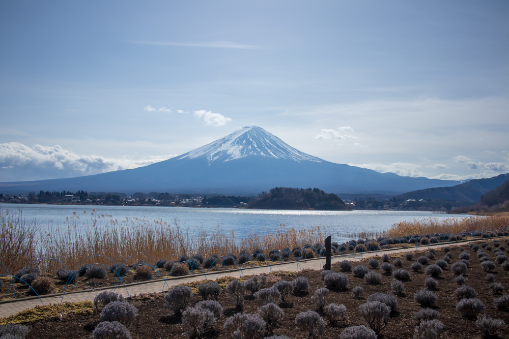 f:id:n0309:20190210122152j:image:w600