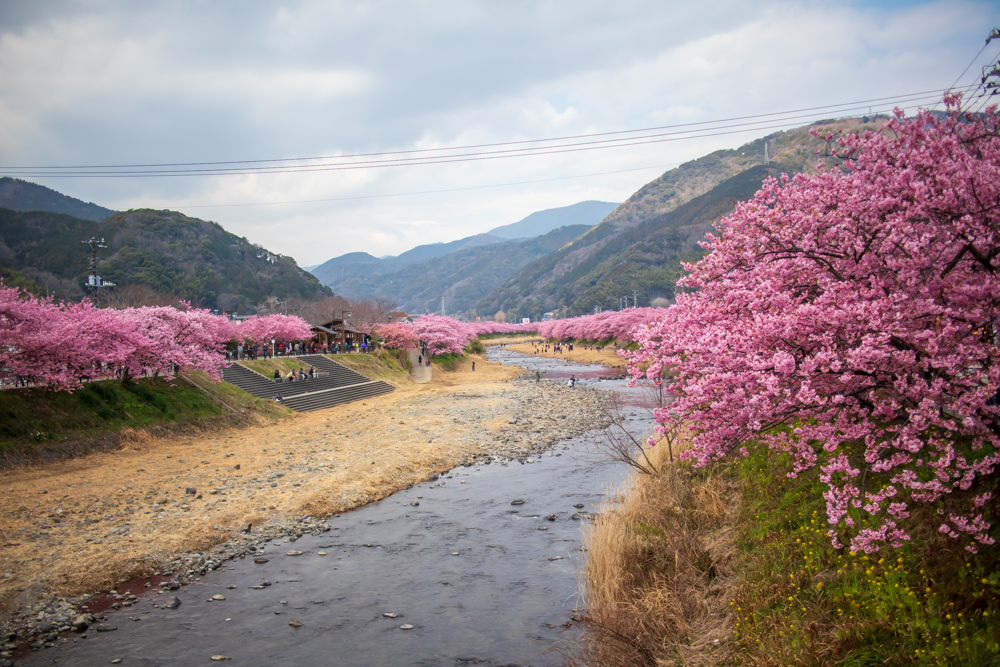 f:id:n0309:20190223113415j:image:w600