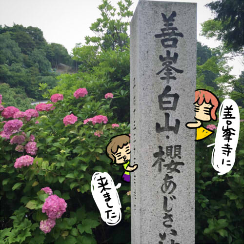 f:id:n285:20150621185437j:plain