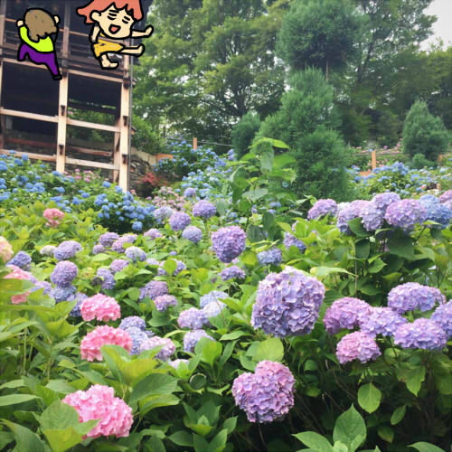 f:id:n285:20150621185450j:plain