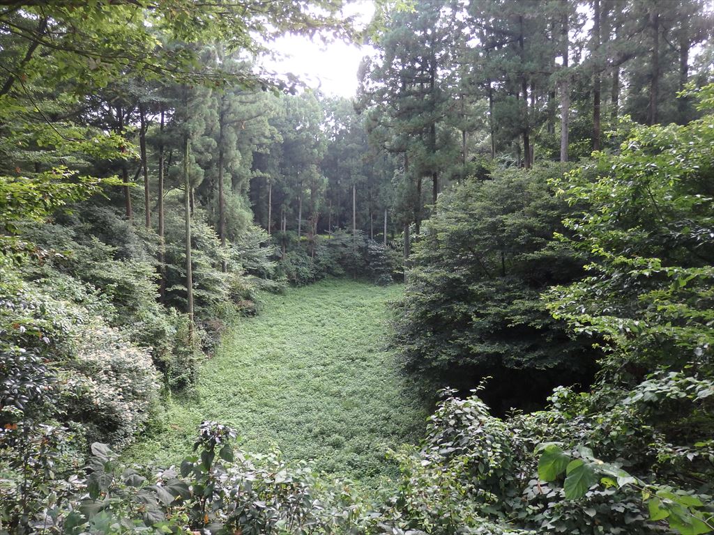 f:id:n344sj:20200811224702j:plain f:id:n344sj:20200811224702j:plain