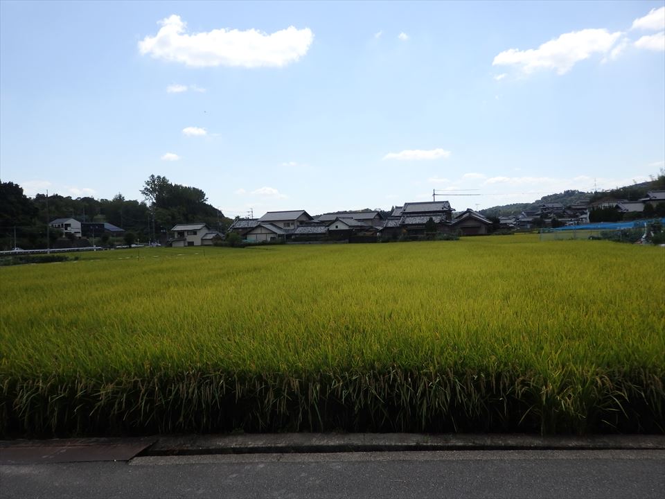 f:id:n344sj:20200922235201j:plain f:id:n344sj:20200922235201j:plain