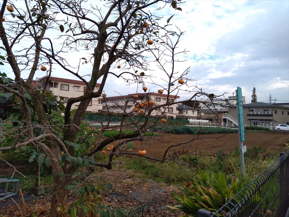 f:id:n344sj:20201108003432j:plain f:id:n344sj:20201108003432j:plain
