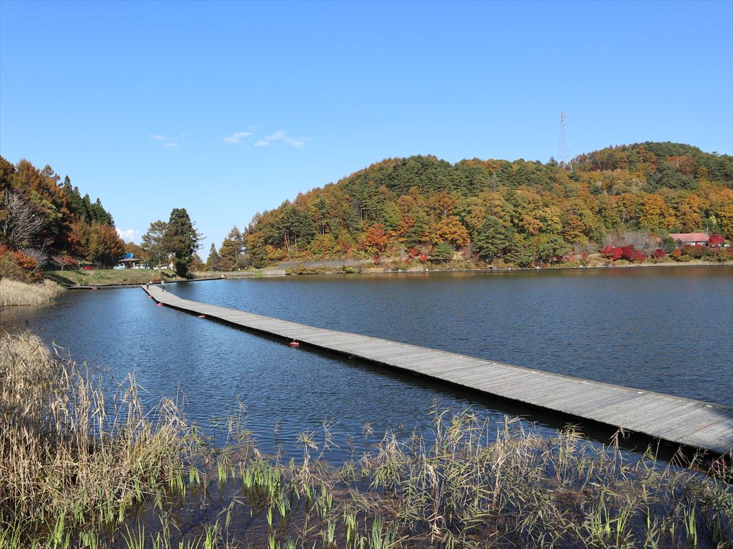 f:id:n344sj:20211103113321j:plain