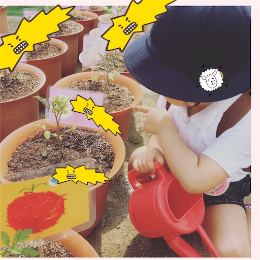 f:id:n4f58d8c7248hu3216:20170517105010j:image