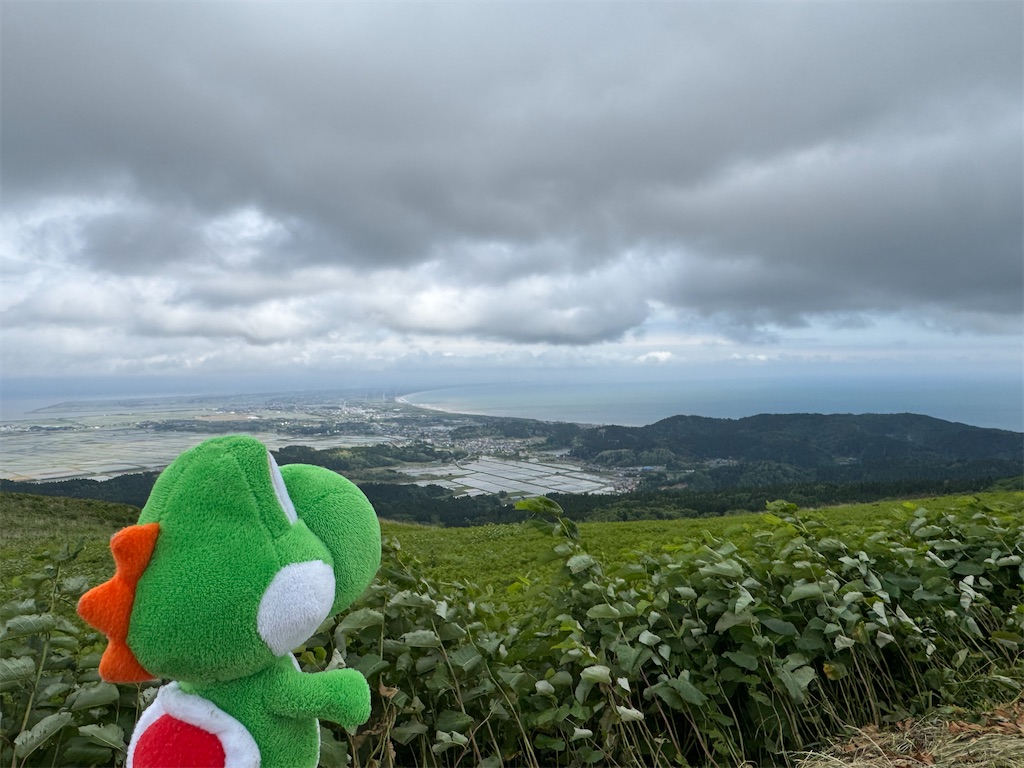 f:id:n4oki1126:20250607124804j:image