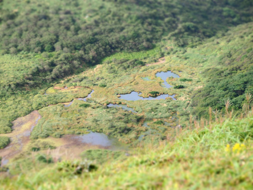 f:id:n5016:20130909075628j:image