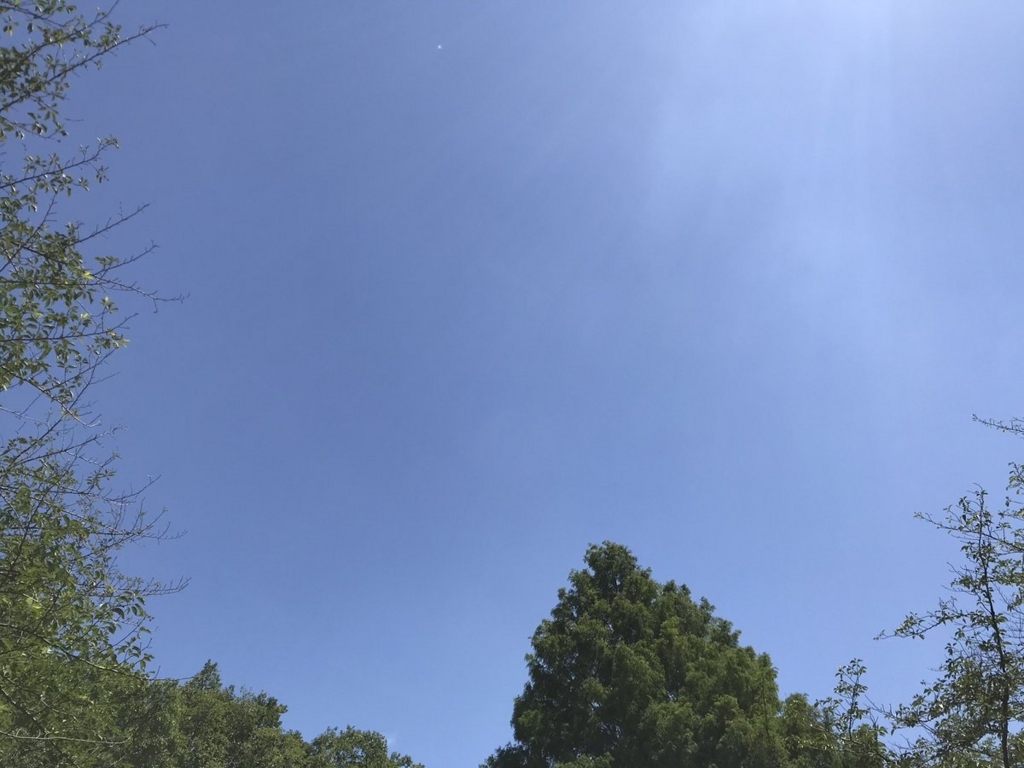 f:id:n6c54fh1:20180602010303j:plain f:id:n6c54fh1:20180602010303j:plain