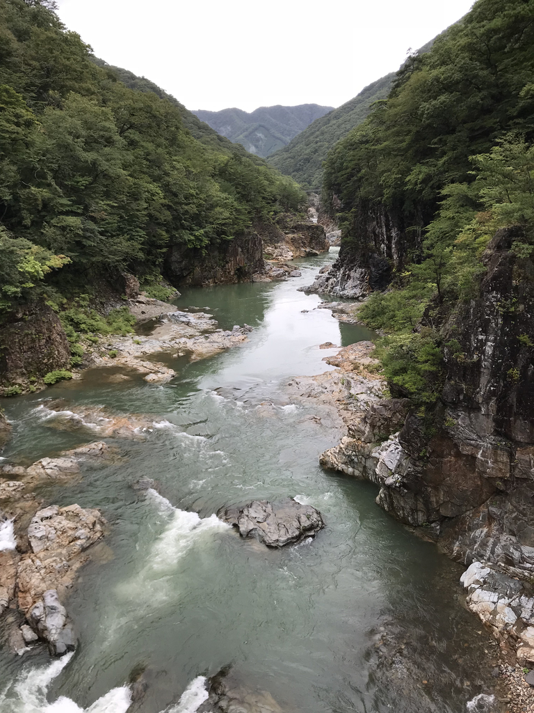 f:id:n6c54fh1:20180831163714j:plain f:id:n6c54fh1:20180831163714j:plain