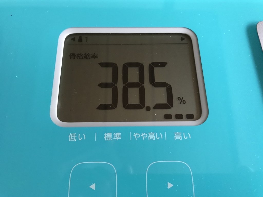 f:id:n6c54fh1:20190204224934j:plain f:id:n6c54fh1:20190204224934j:plain