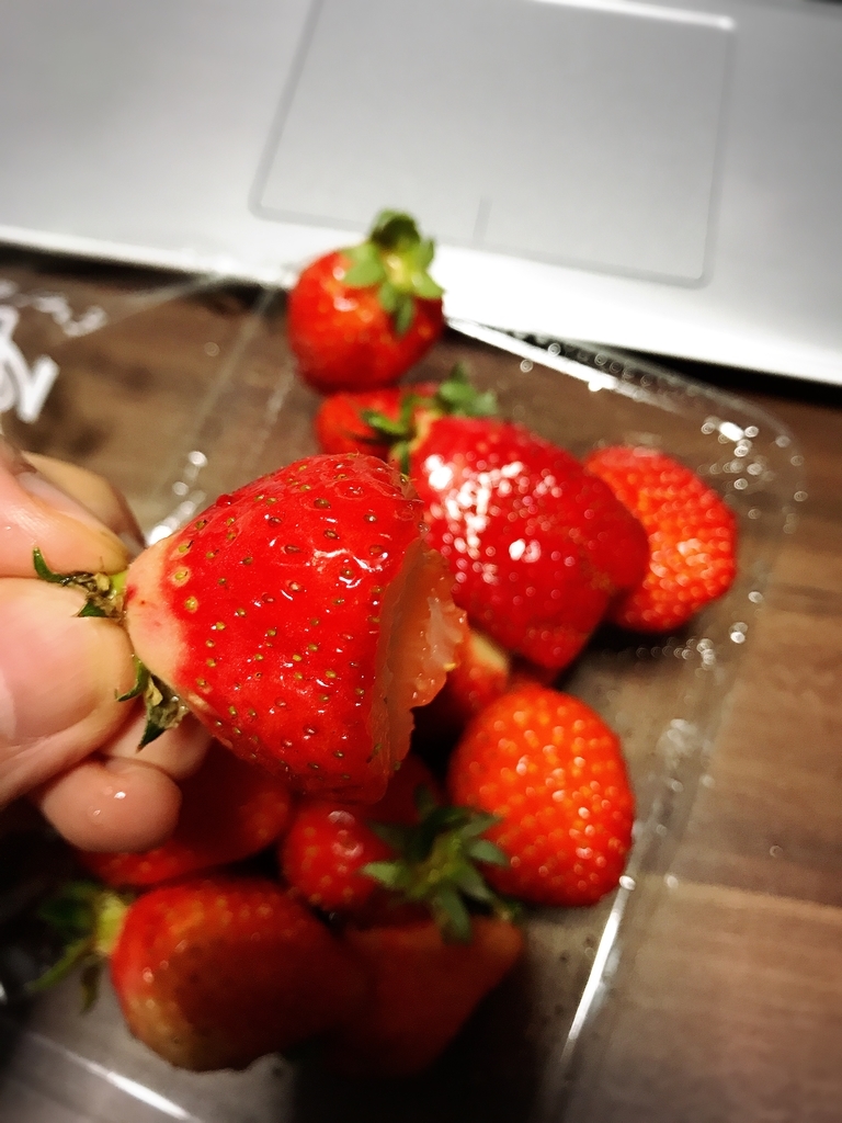 f:id:n6c54fh1:20190310021432j:plain f:id:n6c54fh1:20190310021432j:plain