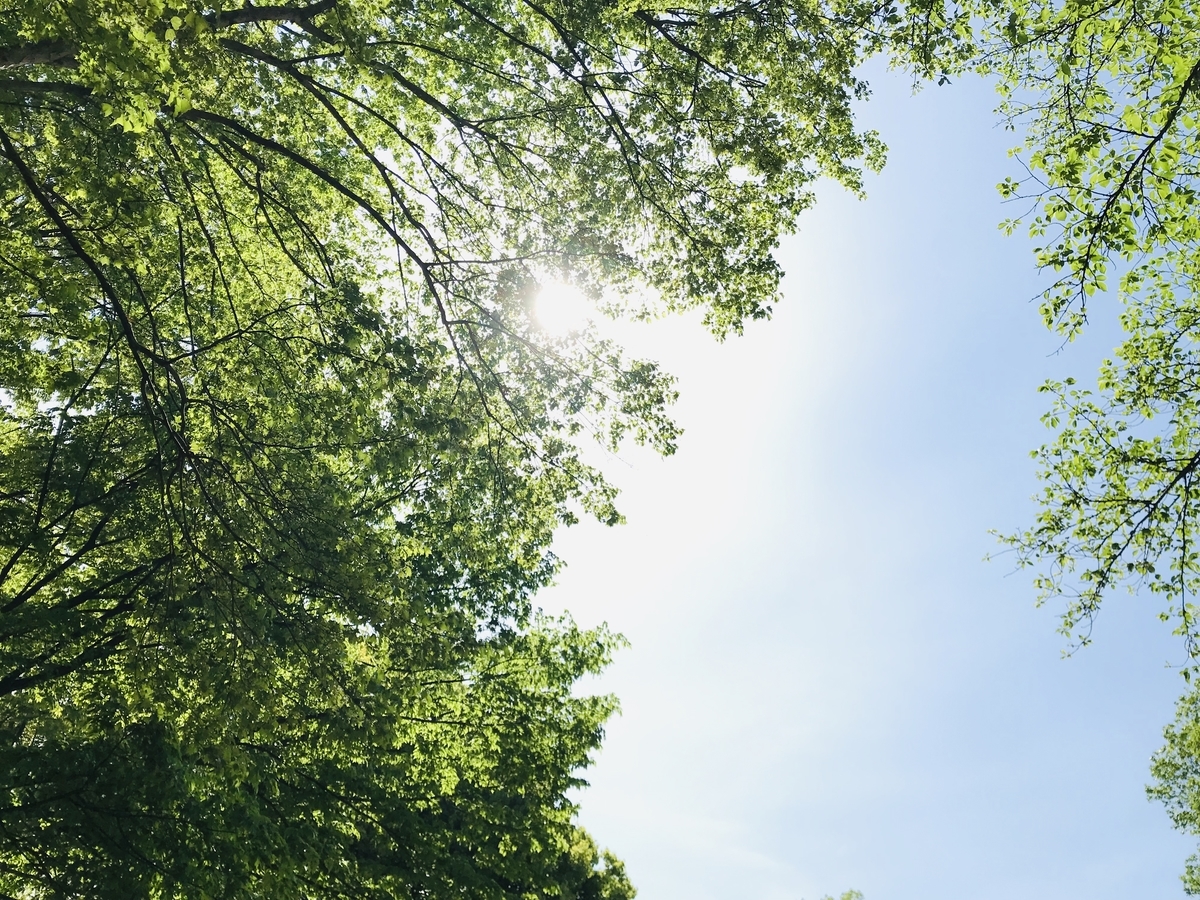 f:id:n6c54fh1:20190429031425j:plain