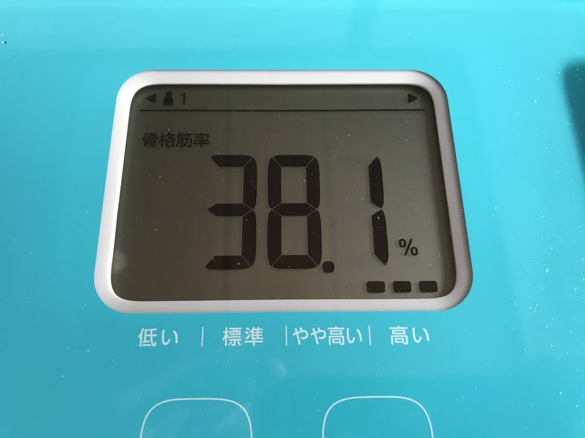 f:id:n6c54fh1:20190501214250j:plain f:id:n6c54fh1:20190501214250j:plain