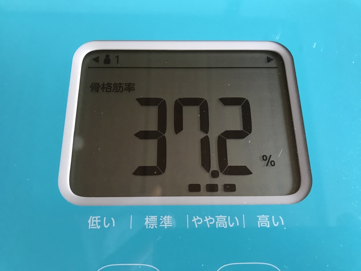 f:id:n6c54fh1:20190601180956j:plain f:id:n6c54fh1:20190601180956j:plain