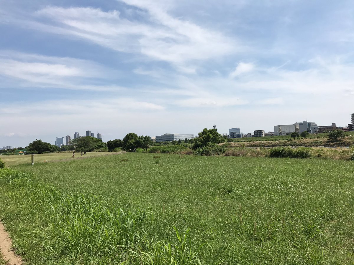 f:id:n6c54fh1:20190615103414j:plain f:id:n6c54fh1:20190615103414j:plain