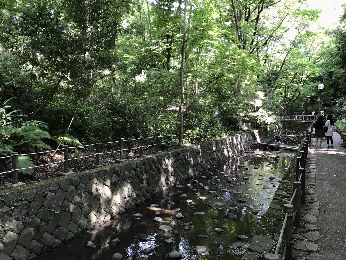 f:id:n6c54fh1:20190615103504j:plain