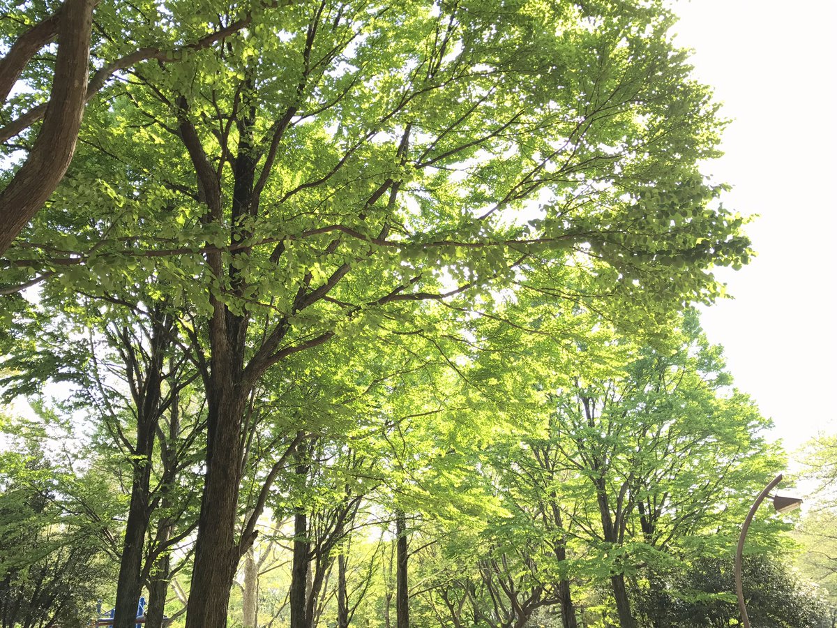 f:id:n6c54fh1:20190615105600j:plain f:id:n6c54fh1:20190615105600j:plain