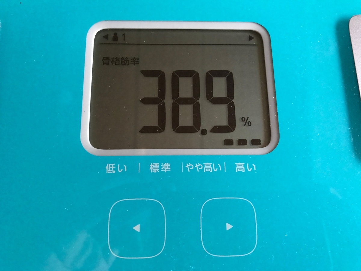 f:id:n6c54fh1:20190801210830j:plain f:id:n6c54fh1:20190801210830j:plain