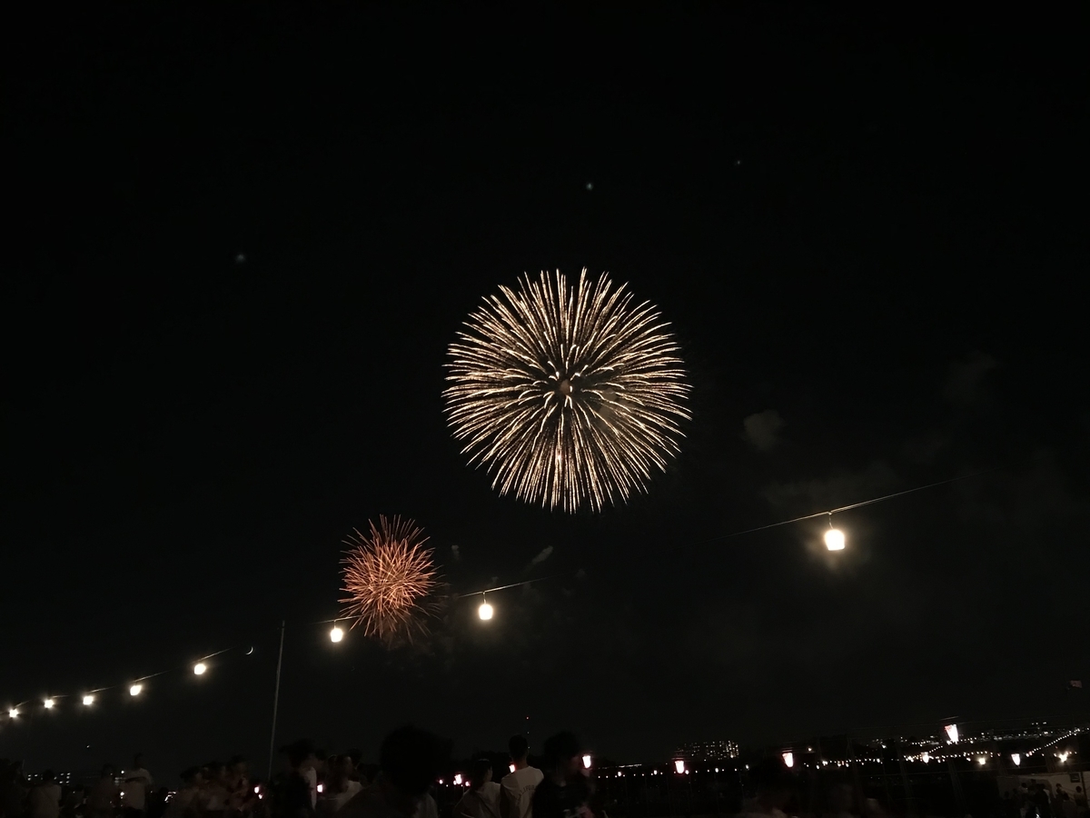 f:id:n6c54fh1:20190804005147j:plain f:id:n6c54fh1:20190804005147j:plain