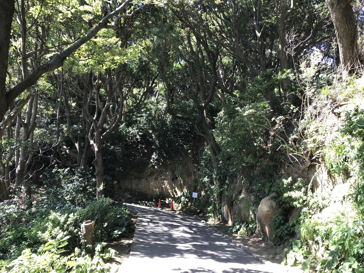 f:id:n6c54fh1:20190811235006j:plain f:id:n6c54fh1:20190811235006j:plain