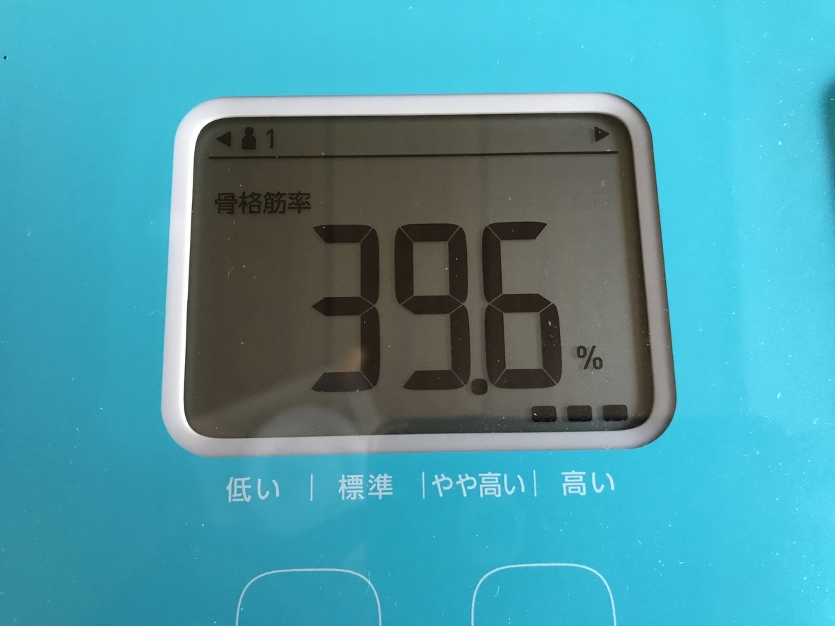 f:id:n6c54fh1:20191002154849j:plain f:id:n6c54fh1:20191002154849j:plain