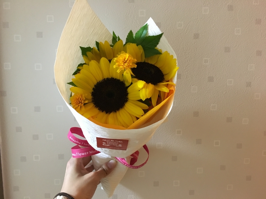 f:id:n7smr:20180804112130j:plain