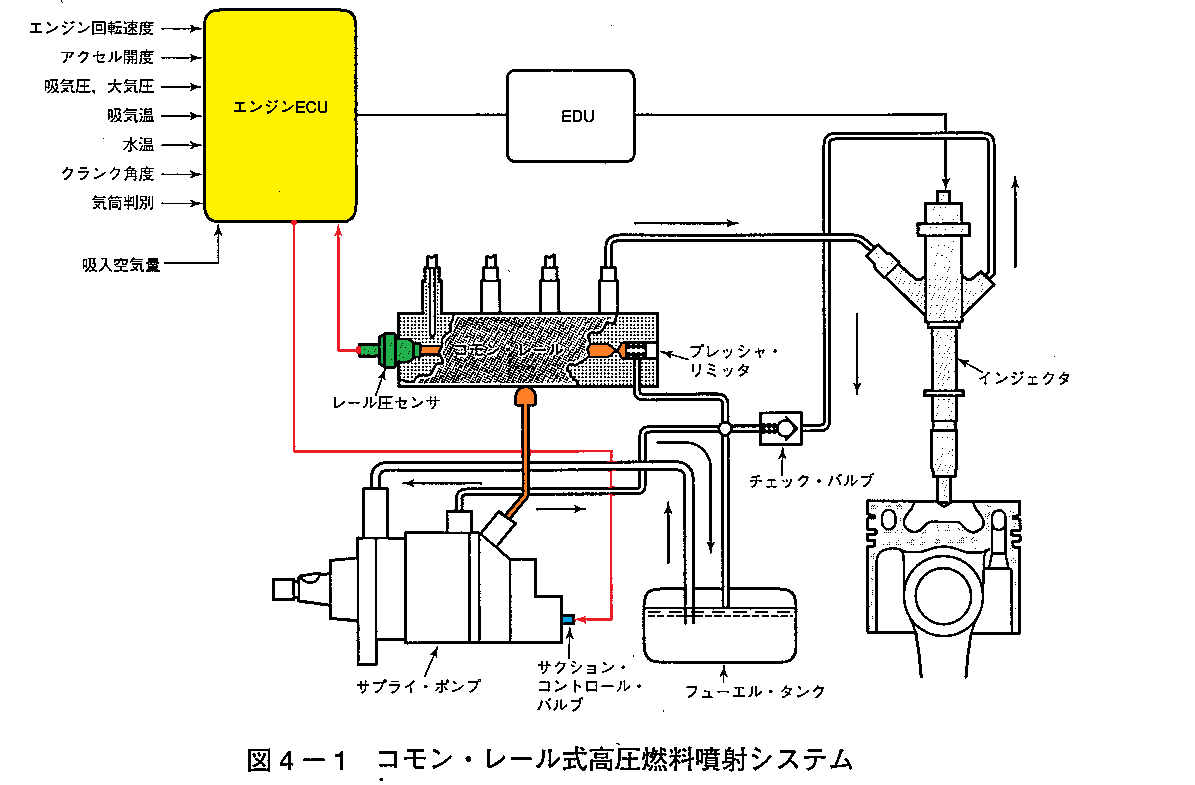 なぜイカはインクを噴射するのでしょうか?