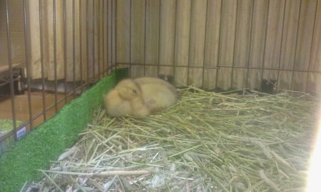 f:id:nBit:20110523210731j:image:left f:id:nBit:20110523210731j:image:left