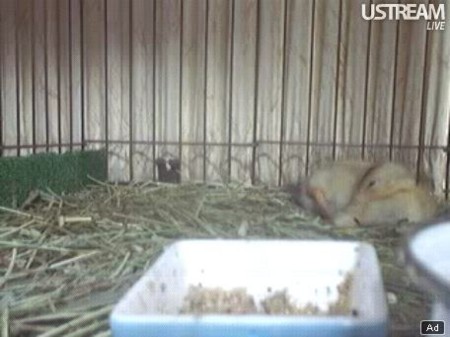 f:id:nBit:20110524115415j:image:left f:id:nBit:20110524115415j:image:left