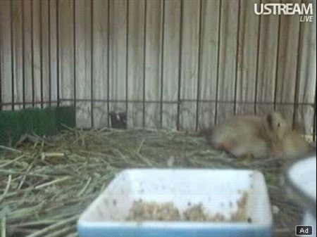 f:id:nBit:20110524115416j:image:left f:id:nBit:20110524115416j:image:left