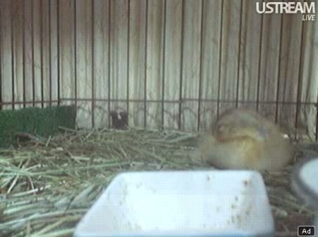 f:id:nBit:20110530161836j:image f:id:nBit:20110530161836j:image